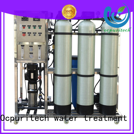 250lph ro water purifier companies supplier for food industry
