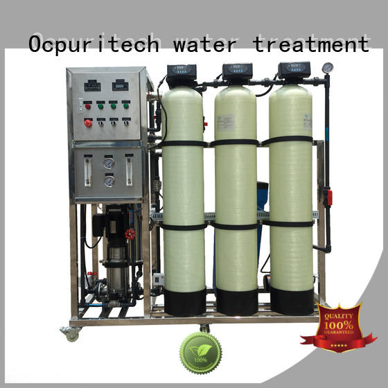 250lph ro water plant personalized for food industry