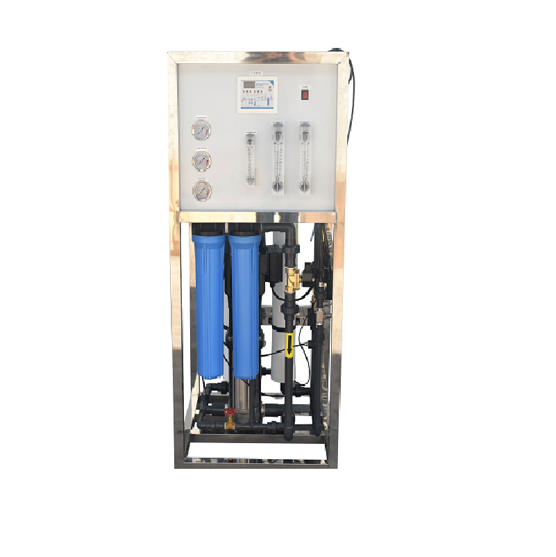 1000lph Industrial Ro System Water Treatment Small Well Purifier Plant Cost Filter Machine